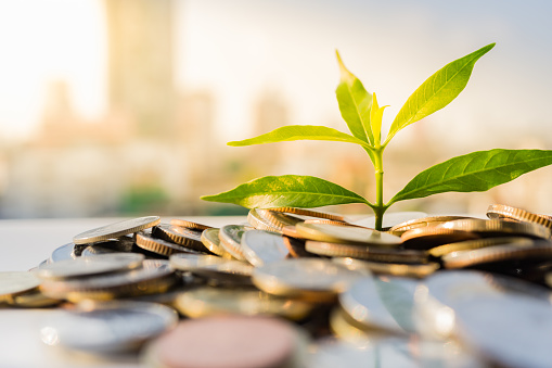 Green finance will accelerate the circular economy