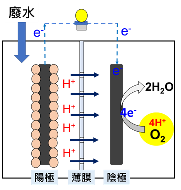 循環經濟型的污水處理系統－微生物燃料電池簡介